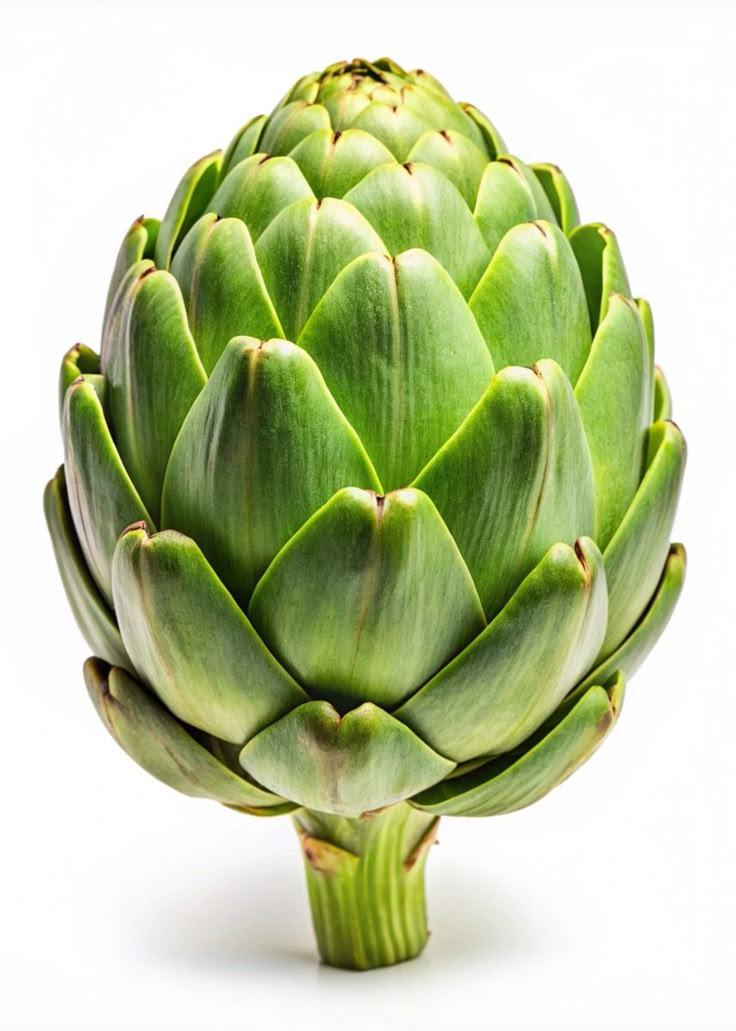 Artichoke Leather Bag
